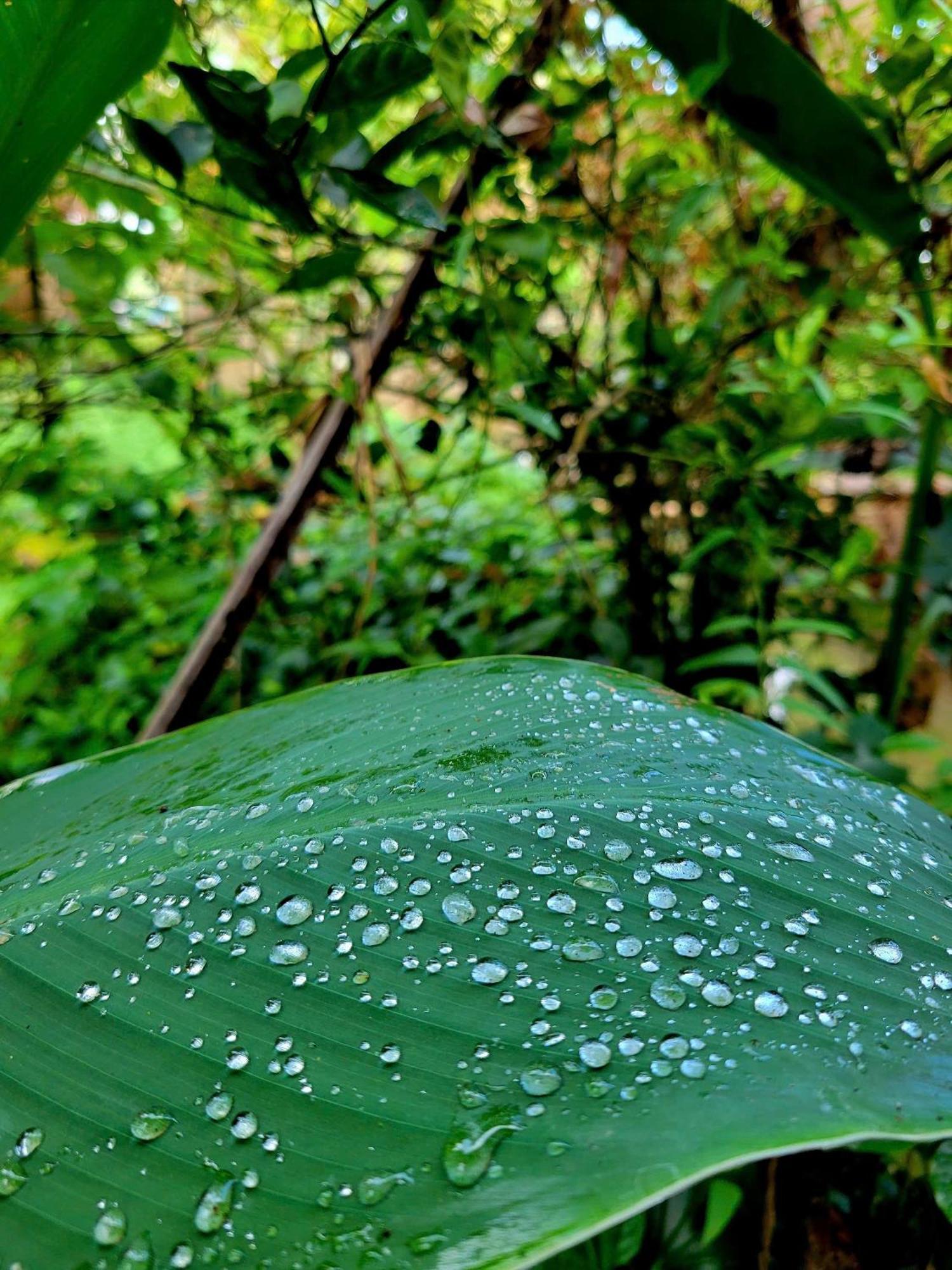 Nong Trai Thanh Thoi Ben Tre Екстериор снимка